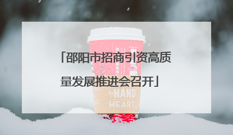 邵阳市招商引资高质量发展推进会召开