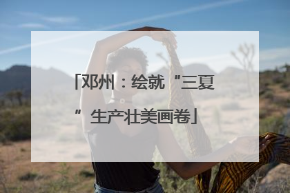 邓州：绘就“三夏”生产壮美画卷