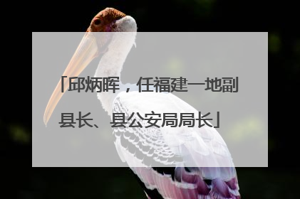 邱炳晖，任福建一地副县长、县公安局局长