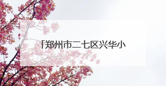 郑州市二七区兴华小学东校区：践行公益初心促进普特教育融合