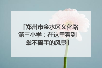郑州市金水区文化路第三小学：在这里看到拳不离手的风景