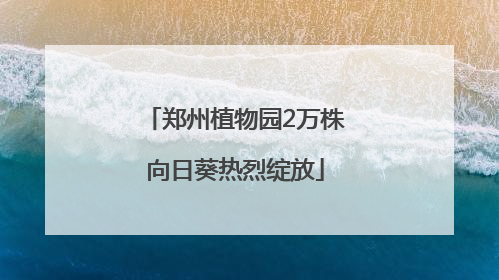 郑州植物园2万株向日葵热烈绽放