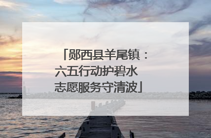 郧西县羊尾镇：六五行动护碧水 志愿服务守清波