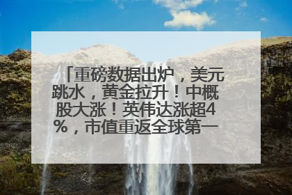 重磅数据出炉，美元跳水，黄金拉升！中概股大涨！英伟达涨超4%，市值重返全球第一！黄仁勋计划出售至多600万股股票