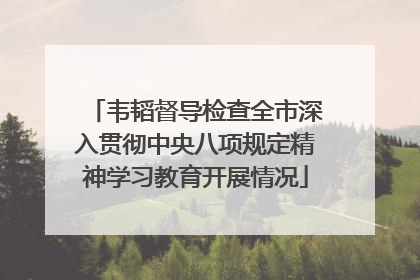 韦韬督导检查全市深入贯彻中央八项规定精神学习教育开展情况