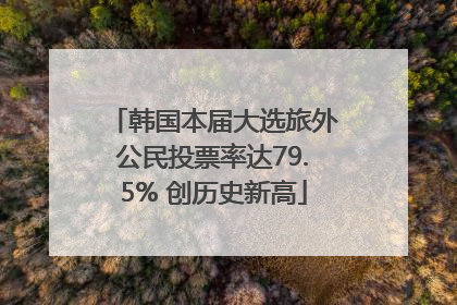 韩国本届大选旅外公民投票率达79.5% 创历史新高