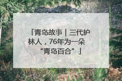 青岛故事｜三代护林人，76年为一朵“青岛百合”