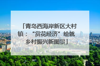 青岛西海岸新区大村镇：“赏花经济”绘就乡村振兴新图景