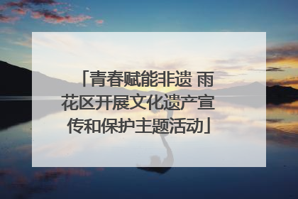 青春赋能非遗 雨花区开展文化遗产宣传和保护主题活动
