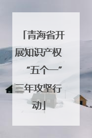 青海省开展知识产权“五个一”三年攻坚行动
