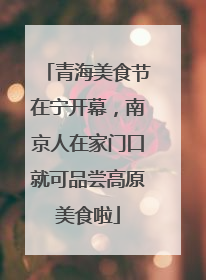 青海美食节在宁开幕，南京人在家门口就可品尝高原美食啦