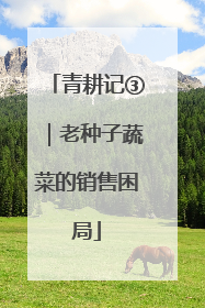 青耕记③｜老种子蔬菜的销售困局