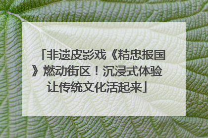 非遗皮影戏《精忠报国》燃动街区！沉浸式体验让传统文化活起来