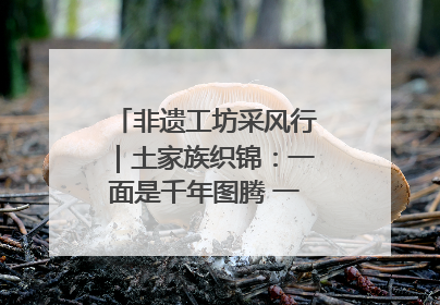 非遗工坊采风行｜土家族织锦：一面是千年图腾 一面是幸福画卷