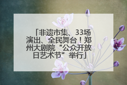 非遗市集、33场演出、全民舞台！郑州大剧院“公众开放日艺术节”举行