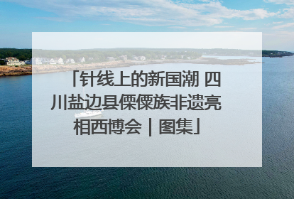 针线上的新国潮 四川盐边县傈僳族非遗亮相西博会｜图集