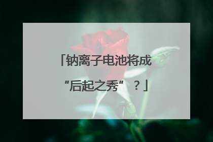 钠离子电池将成“后起之秀”？