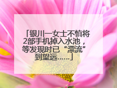 银川一女士不慎将2部手机掉入水池，等发现时已“漂流”到望远……
