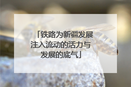 铁路为新疆发展注入流动的活力与发展的底气