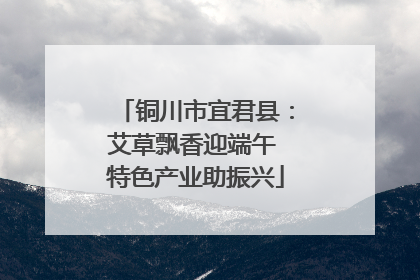 铜川市宜君县:艾草飘香迎端午 特色产业助振兴