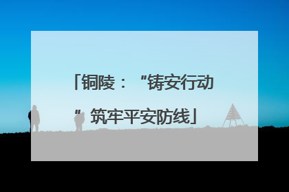 铜陵：“铸安行动”筑牢平安防线