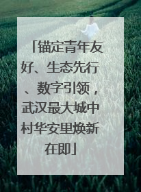 锚定青年友好、生态先行、数字引领，武汉最大城中村华安里焕新在即