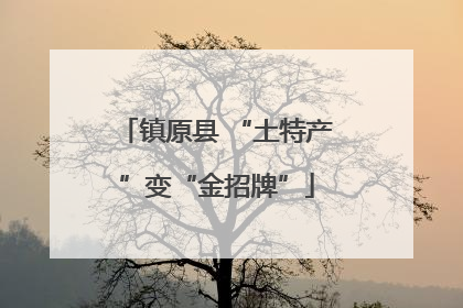 镇原县 “土特产”变“金招牌”