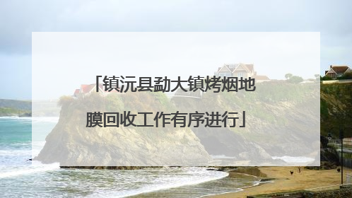 镇沅县勐大镇烤烟地膜回收工作有序进行
