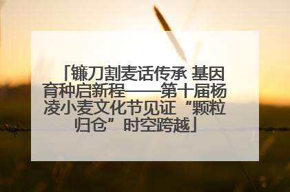 镰刀割麦话传承 基因育种启新程——第十届杨凌小麦文化节见证“颗粒归仓”时空跨越