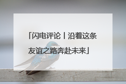 闪电评论丨沿着这条友谊之路奔赴未来