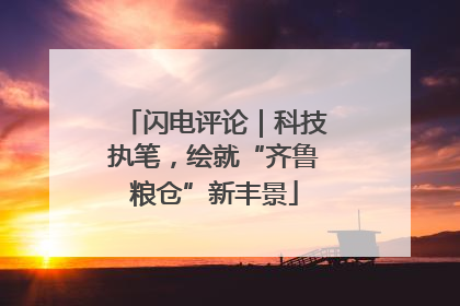 闪电评论｜科技执笔，绘就“齐鲁粮仓”新丰景
