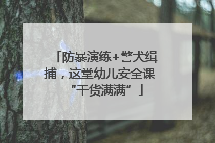 防暴演练+警犬缉捕，这堂幼儿安全课“干货满满”