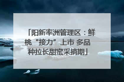 阳新率洲管理区：鲜桃“接力”上市 多品种拉长甜蜜采摘期