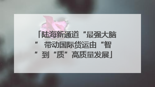 陆海新通道“最强大脑” 带动国际货运由“智”到“质”高质量发展