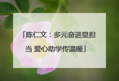 陈仁文：多元奋进显担当 爱心助学传温暖