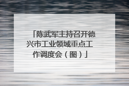 陈武军主持召开德兴市工业领域重点工作调度会（图）