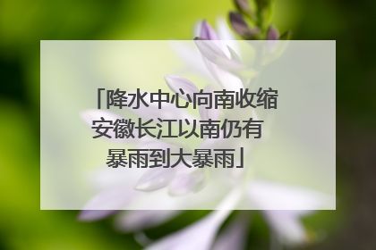 降水中心向南收缩 安徽长江以南仍有暴雨到大暴雨