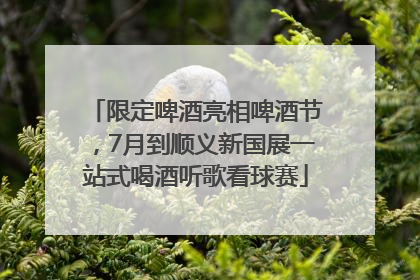限定啤酒亮相啤酒节，7月到顺义新国展一站式喝酒听歌看球赛