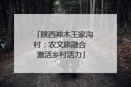 陕西神木王家沟村：农文旅融合 激活乡村活力