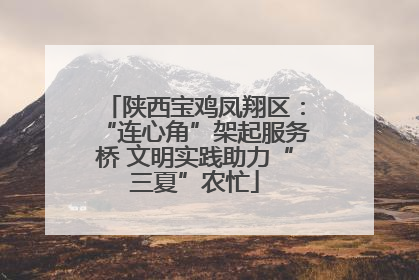陕西宝鸡凤翔区：“连心角”架起服务桥 文明实践助力“三夏”农忙