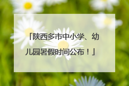 陕西多市中小学、幼儿园暑假时间公布！
