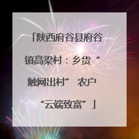 陕西府谷县府谷镇高梁村：乡货“触网出村” 农户“云端致富”