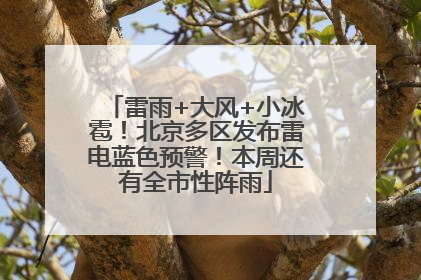 雷雨+大风+小冰雹！北京多区发布雷电蓝色预警！本周还有全市性阵雨