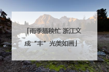 雨季插秧忙 浙江文成“丰”光美如画