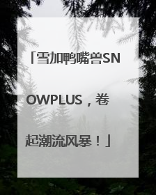 雪加鸭嘴兽SNOWPLUS，卷起潮流风暴！