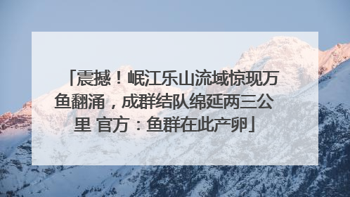震撼！岷江乐山流域惊现万鱼翻涌，成群结队绵延两三公里 官方：鱼群在此产卵