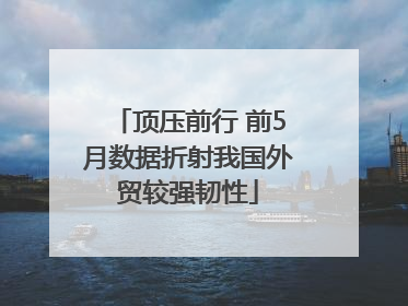 顶压前行 前5月数据折射我国外贸较强韧性