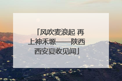 风吹麦浪起 再上神禾塬——陕西西安夏收见闻