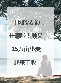 风吹麦浪，开镰啦！顺义15万亩小麦迎来丰收