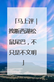 马上评｜拽断西湖松鼠尾巴，不只是不文明
